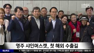 영주 샤인머스켓, 첫 해외 수출길  / 안동MBC