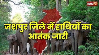 Jashpur Elephant News: जशपुर जिले में हाथियों का आतंक जारी। फसलों और घरों को पहुंचा रहे नुकसान