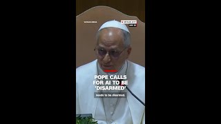 Pope calls for AI to be ‘disarmed’