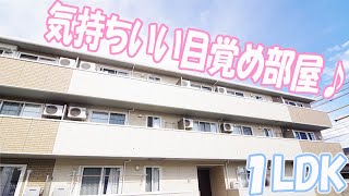 女子のオシャレな一人暮らし１LDK賃貸アパートヴェルドミールB岡山市北区西崎