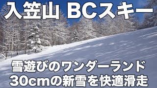 入笠山 BCスキー 2024年3月13日 雪遊びのワンダーランド、30cmの新雪を快適滑走