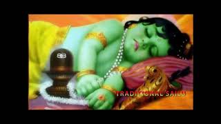 Lali Patalu Telugu  || Amma lali pata || Baby Sleeping songs || Lali Songs in Telugu