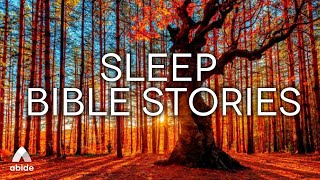 1 Hr of Relaxing Bible Stories With Ambient Music for Stress Relief | Christian Meditation For Sleep