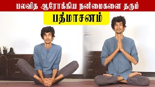 How to do Padmasana Step by Step in Tamil | பத்மாசனம் படிப்படியாக செய்யும் முறை!