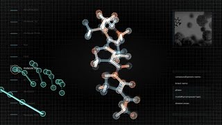 Interactive Molecular Viewer - Leap Motion Gesture Driven Experience