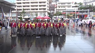 崇城大学～華咲流舞～ ♪花ことば @ YOSAKOIさせぼ祭り (アルカス広場会場) 2016-10-22T16:42