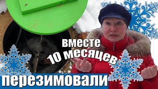 Кристалл-септик 5ПР \\ Сточные воды на выходе \\ Опыт годичного использования