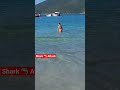 🇧🇷 shark attack rio de janeiro atlantic ocean shark travel subscribe comedy brazil ocean