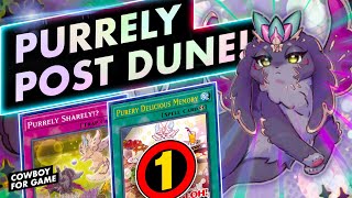 Delicious to 1 doesn't matter anymore! Purrely post DUNE ✨ Deckprofile + Combos + Replays ✨ YuGiOh