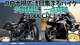 減り続けてるけど人気モデルも多い1000CC以上のバイク達【ゆっくり解説】