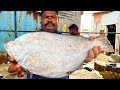 KASIMEDU 🔥 SPEED SELVAM | SOLE NAAKKU FISH CUTTING VIDEO | IN KASIMEDU | FF CUTTING 🔪