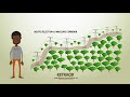 Kenya Electricity Transmission Company (KETRACO) Animation