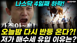 나스닥 4일째 하락! 미국증시! 하지만 오늘밤 다시 반등 온다?! 저가 매수세 유입된 이유는?