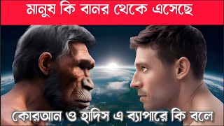 মানুষ কি বানর থেকে এসেছে কোরআন ও হাদিস এ ব্যাপারে কি বলে