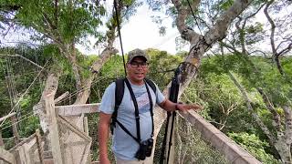 Canopy Walkway in the Peruvian Amazon