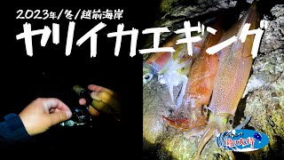 冬の越前海岸でヤリイカエギング【2023年】