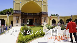 レオマのばら園（2023年5月）