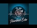 Heartbeat Echo
