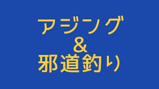 久しぶりにアジング行きました！