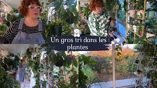 DU TRI DANS LES PLANTES🌿Trop de plantes pour ma santé mentale et ma santé tout court | Lampe SANSI