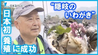 【全国で人気】ブランド岩ガキの養殖に奮闘する生産者の思い