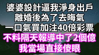 婆婆設計逼我淨身出戶！離婚後為了去晦氣！一口氣買加注40倍彩票！不料隔天報導中了2個億！我當場直接傻眼！#為人處世 #幸福人生#為人處世 #生活經驗 #情感故事#以房养老#唯美频道 #婆媳故事