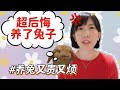 如果养兔之前知道这些，我可能不会养兔子了｜养兔子的缺点，又贵又麻烦又娇气，兔年真的不要因为可爱养兔子啊｜新手养兔经验谈