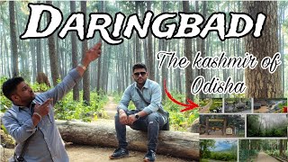 Daringbadi Tour // The kashmir of Odisha // coffee garden explore .....🌳