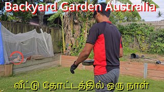 Home Garden / Getting rid of weeds | வீட்டு தோட்டம் இருந்தாலே வெட்டனும் கொத்தனும் _ Australia 🇦🇺