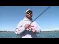 understanding white bass – fishing edge tv