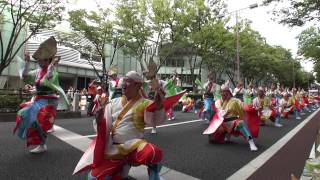 いなん　スーパーよさこい２０１４　表参道アベニュー