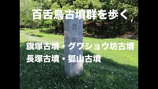 百舌鳥古墳群を歩く2020（NO6)