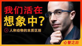 【中英双语】《人类简史》赫拉利，为什么人类能成为世界霸主？