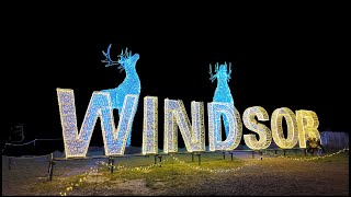 Windsor Great Park Illuminated 2024 | Magical Christmas Light Trail