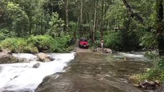 Discover Wayanad