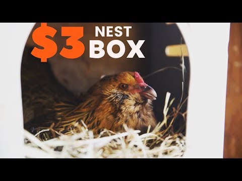 How To Make a Chicken Nest Box for $3 How To Make a Chicken Nest Box for $3