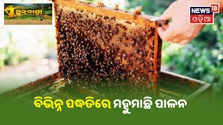 Annadata | ବିଭିନ୍ନ ପଦ୍ଧତିରେ ମହୁମାଛି ପାଳନ(Honey Bee Farming)