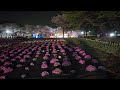 【赤城南面千本桜】2024 4 13 ライトアップされた桜まつり　大渋滞をへて