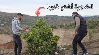 الكاميرة بالدليل شكون جنى لينا الشجرة ملي سافرنا الله يهدي مخلق 🤔