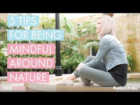 5 tips for being attentive to nature