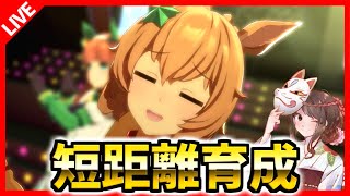 【ウマ娘】チームレース育成本気出す～短距離編～LIVE！