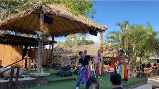 Island of TONGA | Funny show | Polynesian Cultural Center Hawaii #tongaculture #tongapolynesianhawai