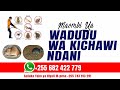 maombi ya wadudu wa kichawi ndani ya nyumba fanya maombi haya ikiwa kuna wadudu wasio wa kawaida.