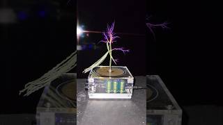 ⚡️Real thin leaf #lightning #shortvideo