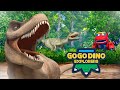 Pemangsa Purba! Kompilasi Dinosaur Karnivor🦖【GOGODINO MUSIM 5】🦕 | Dinosaur | Kartun Anak