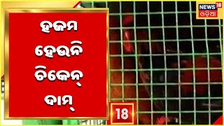 Chicken price hike: ଭୁବନେଶ୍ବରରେ ଉପରମୁହାଁ ଚିକେନ ଦର