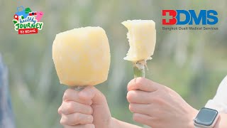 สับปะรดนางแล รสน้ำผึ้ง พันธุ์ดั้งเดิมเชียงราย | Healthy Journey by BDMS EP.12 (1/3)