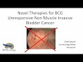 Novel Therapies to Non Muscle Invasive Bladder Cancer