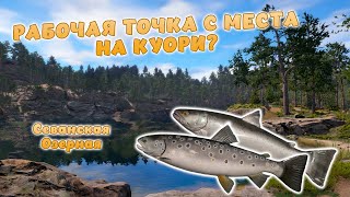 Русская рыбалка 4 - РАБОЧАЯ ТОЧКА! НА КУОРИ С БЕРЕГА! ОТЛИЧНЫЙ КЛЕВ ФОРЕЛИ! Оз. Куори!