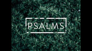 Sunday, Psalm 131 2-2-25